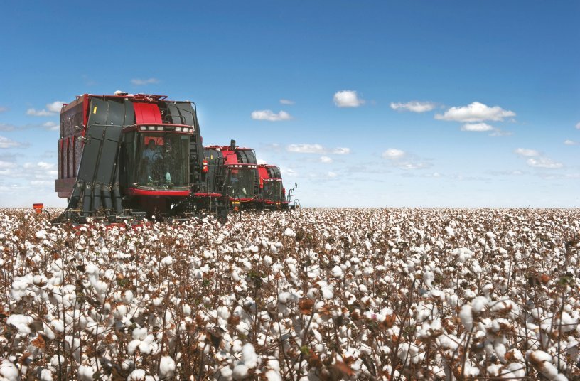 Case IH Cotton Express cotton picker